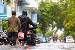 ގެއްލުން ލިބުނު ސައިކަލުތައް ލިޓަސް އިން ހިލޭ ސާވިސްކޮށްދެނީ