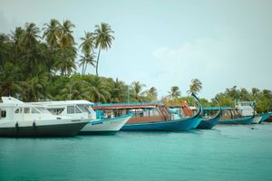 Young tourist dies after being hit by boat propeller