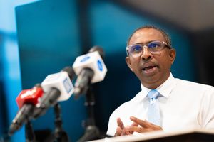 Votes exceed members in Democrats election