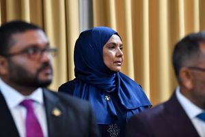 66 political appointees at Gender Ministry
