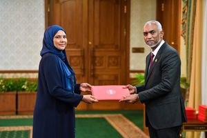 Gender Ministry says number of political appointees unclear