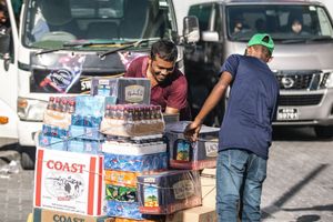 Illegal foreign-owned businesses to be shut down