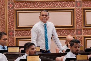 ޕާސްޕޯޓު ބިލުގެ ސަބަބުން މިނިވަންކަމަށްވެސް އަސަރުކުރާނެ: ޝާހިދު