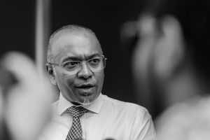 "ޑިމޮކްރެޓްސް އުފެއްްދުމަށް އީސީގެ ދެ މެމްބަރަކު ހުރަސްއަޅާ"