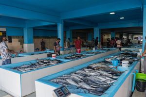 މަސް މާރުކޭޓުގެ ހިޔާނާތުގެ މައްސަލަ އޭސީސީއަށް ހުށަހަޅައިފި 