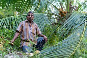 ޝަކީބް ހެއްދީ ރަށުން ބޭރަށް ދިޔަޔަސް ހަލާކުނުވާނެ ދަނޑެއް!