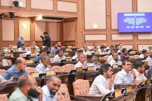 ޒަކާތް ދިނުން ގާނޫނީ ގޮތުން ލާޒިމުކުރަން މަޖިލީހަށް ބިލެއް