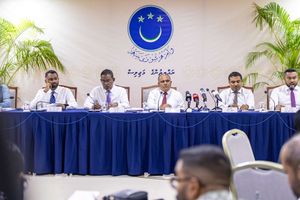 ނޫސްވެރިންނަށް ދެމުންދާ އިންޒާރުތައް ތަހުގީގު ކުރަން ހުށަހަޅަނީ
