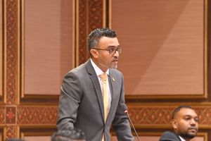 ޓީޖީއެސްޓީ، ގްރީން ޓެކްސް ބޮޑު ކުރަން އެމްޑީޕީގެ ތާއީދެއް ނެތް 