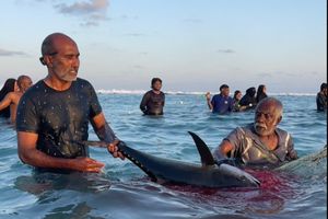 މާފަރު ފަޅަށް ބޮޑު ކަންނެލި އައިނެއް، ކޮންމެ ގެއަކަށް ދެ ކަންނެލި