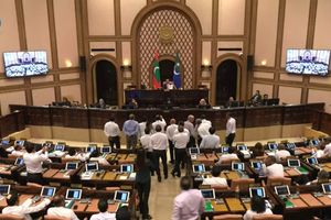 ރިފްއަތު މައްސަލަަ ޕާކު ކުރުމުން މެމްބަރުން އިހުތިޖާޖުކޮށްފި 