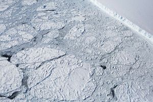 Antarctic sea ice hits lowest winter maximum