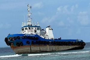 Vessels fail to pay fine for environmental damages