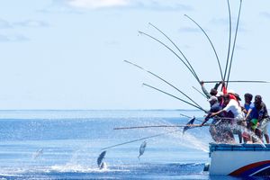 ކޮންމެ މަސްދޯންޏެއްގައި ރެސްކިއު ޑައިވަރެއް ހުރުން ލާޒިމުކުރަނީ