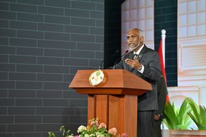 "ކައުންސިލަރުންގެ އަދަދު މަދު ކުރާނަން"