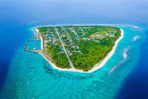 ރަށު ނޯޓު: މަސައްކަތްތެރި، މަސްވެރި މާކުރަތު