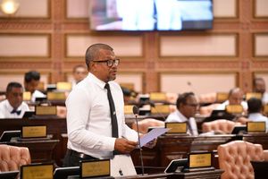 މާލީ ބަޔާން ހުށަހެޅުމުގެ އުސޫލުތައް ހަރުދަނާކުރަން ހުށަހަޅައިފި