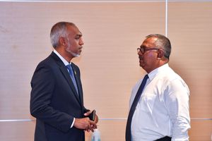 ރައީސް އޮފީހުގެ މީޑިއާ ޓީމުގައި 35 މުވައްޒަފުން