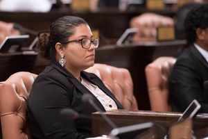 އައިޕީޔޫގެ ހިއުމަން ރައިޓްސް ކޮމިޓީގެ ޗެއާއަކަށް މެމްބަރު ޖީހާން