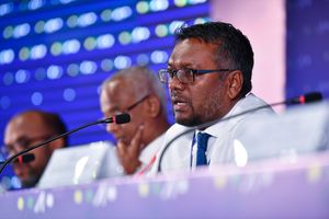 ބިދޭސީންނަށް ރާއްޖޭން ރަނގަޅު އާމްދަނީއެއް ލިބޭ؛ ވަޒީރުގެ ދިފާއު