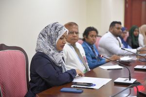 ވެހިކަލް އެތެރެކުރާ އަދަދު ކޮންޓްރޯލް ކުރެވޭނެ ގޮތެއް ނެތް!