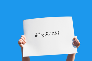 20 passports withheld in land corruption investigation