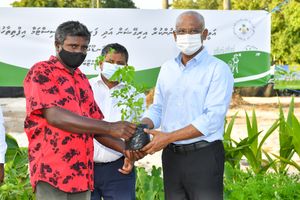 ފުޑް ސެކިއުރިޓީ ޕްރޮގްރާމް ރައީސް ފައްޓަވައިދެއްވައިފި 