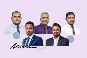 Parliament committee dismisses members of EC and ACC
