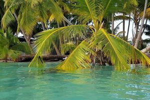 ރަށްރަށަށް ވާގޮތް ރެކޯޑްކުރުމުގެ ނިޒާމެއް ބޭނުން: އަސްލަމް