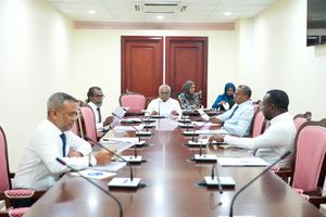 ކެނދިކުޅުދޫ ކައުންސިލްގެ މައްސަލާގައި އެލްޖީއޭ މަޖިލީހަށް