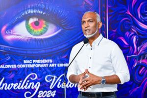 އާޓިސްޓުންނަށް 25 މިލިއަން ރުފިޔާގެ ހިލޭ އެހީ