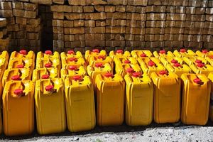 ބިދޭސީއަކު ދިވެއްސަކާ ކައިވެނިކޮށްގެން އުޅޭތީ ކޯޓުން ދޫކޮށްލައިފި
