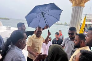 "ވެރިންނަށްޓަކައި އެމްޑީޕީގެ 1 ލައްކަ މީހުން މާޔޫސްކޮށް ނުލެވޭނެ"