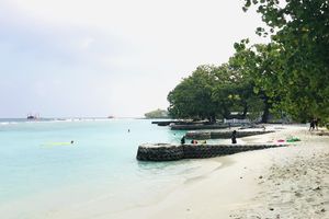 ރެޑްވޭވަށް ވިލިމާލޭގެ ބިމެއް ދިނީ އުސޫލުގެ ތެރެއިން: ކައުންސިލް