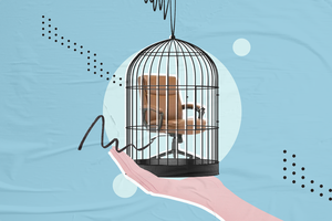 ރައީސް އެ އުޅުއްވަނީ މެންބަރުންގެ ބާރުކަނޑުވާލަން: އައްބާސް