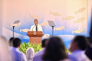 މަސްވެރިކަން ޒަމާނީކުރަން ކޮލެޖެއް އުފައްދަން ނިންމަވައިފި
