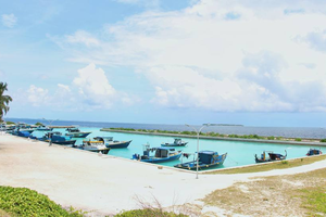 ރަށު ނޯޓު: ފާނަ މަސްވެރިކަމުގެ ބިލެތްދޫ