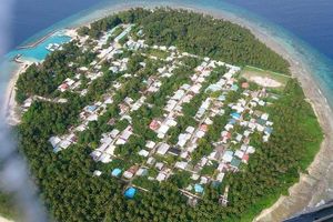 މާއުނގޫދޫގައި މާރާމާރީއެއް؛ ޒުވާނެއްގެ ބަނޑަށް ވަޅި ހަރައިފި 