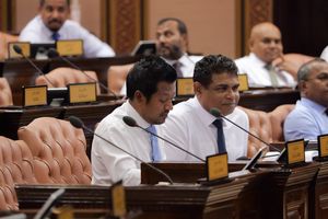 ގާނޫނުއަސާސީ ބަދަލުކުރުން: ޑިމޮކްރެޓްސްގެ ވިސްނުން ދެކަފި