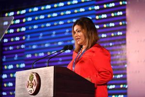 ވެހިކަލް ފީ ކައުންސިލަށް ހޯދަން މައުލޫމާތު ފޮނުވަން ފަށައިފި
