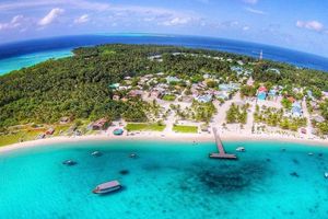ނޮޅިވަރަންފަރުގައި ފަތުރުވެރިޔަކަށް ޖިންސީ ގޯނާ ކުރި މައްސަލައެއް