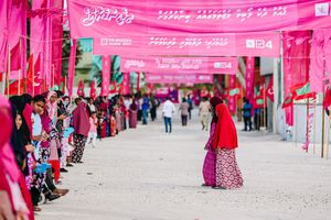 ޕީޕީއެމް އުވާލުމާ އެކު ޕާޓީއަށް ދޫކޮށްފައި ހުރި ބިންތައް އަތުލަނީ
