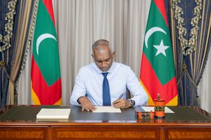 ކާބޯތަކެތީގެ ރައްކާތެރިކަމުގެ ބިލު ރައީސް ތަސްދީގުކުރައްވައިފި