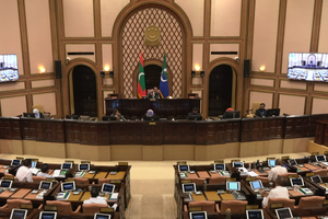  Transparency opposes referendum for “political expediency"