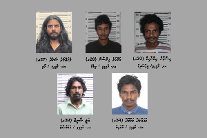 މާމިގިލިން ނުވަ ގްރާމް މަސްތުވާތަކެތި އަތުލައިގެންފި