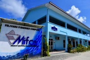 ACC stops more than 100 MIFCO promotions