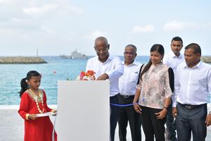އީއައިއޭއާ ހިލާފަށް ބަނދަރެއްގެ މަސައްކަތްކުރުމުން ޖޫރިމަނާކޮށްފި