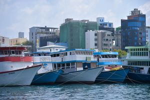 ފަޅުގައި އަޅާފައި އޮންނައިރު ވެސް ފަޅުވެރިން ތިބުން ލާޒިމުކޮށްފި