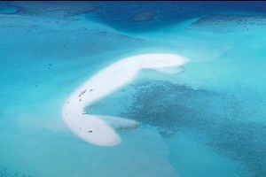 ކައުންސިލުން ބުނީ ބޮޑުފިނޮޅު ކުއްޔަށްދިނީ ގާނޫނާ ހިލާފަށް ކަމަށް 