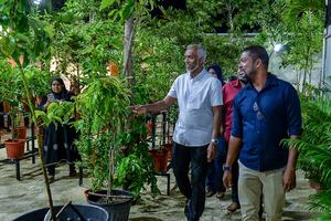 ގަސް ޕްރޮގްރާމަށް 50 މިލިއަން ރުފިޔާ، އިންވެންޓަރީއެއް ނެތް!